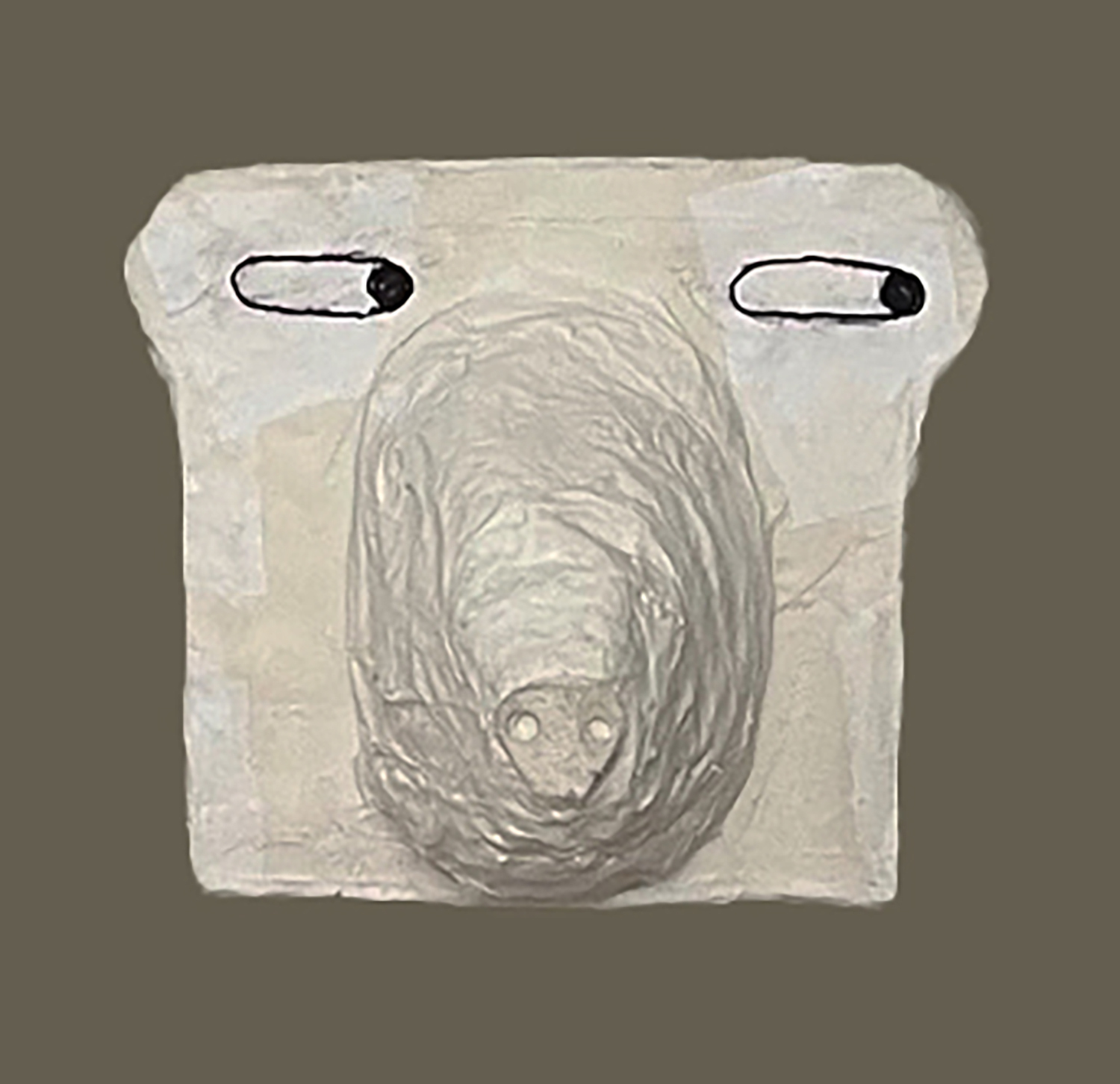 Carol Bruns